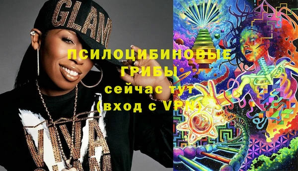 дмт Алзамай