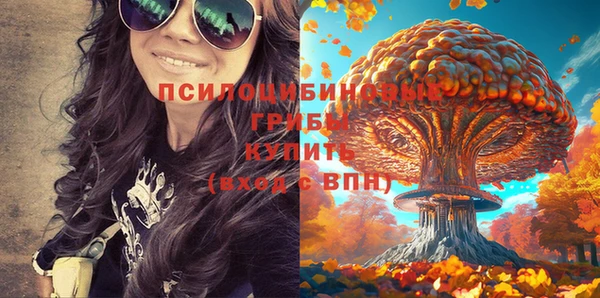 дмт Алзамай