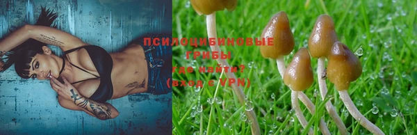 дмт Алзамай