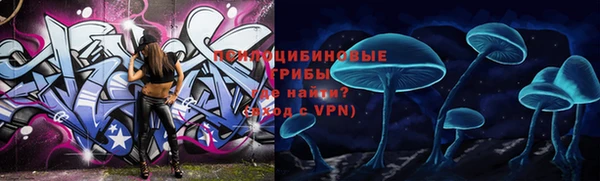 дмт Алзамай