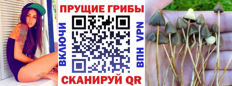 Галлюциногенные грибы GOLDEN TEACHER  Южно-Сахалинск 